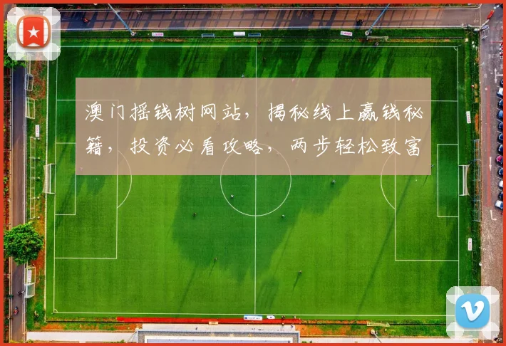 澳门摇钱树网站，揭秘线上赢钱秘籍，投资必看攻略，两步轻松致富