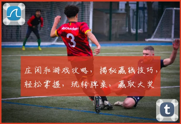 庄闲和游戏攻略，揭秘赢钱技巧，轻松掌握，玩转牌桌，赢取大奖